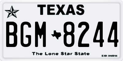 TX license plate BGM8244