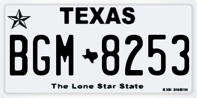 TX license plate BGM8253