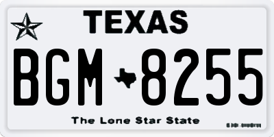 TX license plate BGM8255
