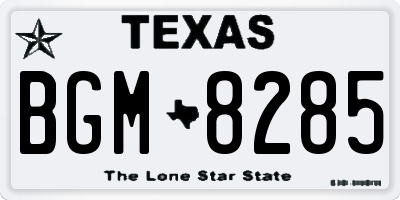 TX license plate BGM8285