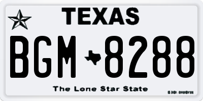 TX license plate BGM8288