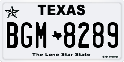 TX license plate BGM8289
