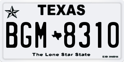 TX license plate BGM8310