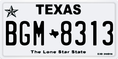 TX license plate BGM8313