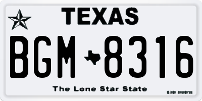TX license plate BGM8316