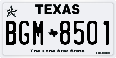 TX license plate BGM8501