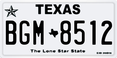 TX license plate BGM8512