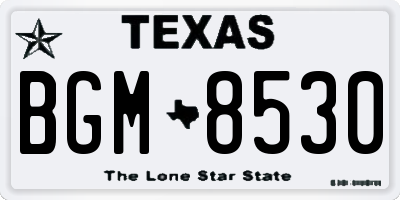 TX license plate BGM8530
