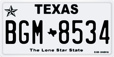 TX license plate BGM8534