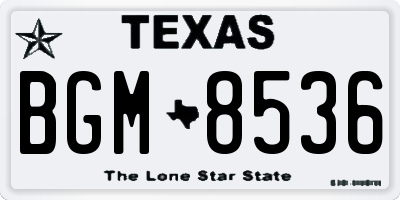 TX license plate BGM8536