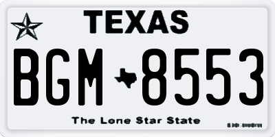 TX license plate BGM8553