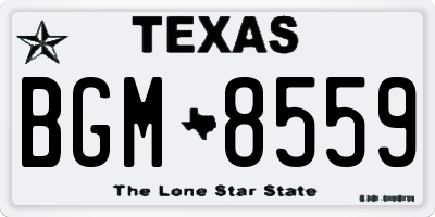 TX license plate BGM8559