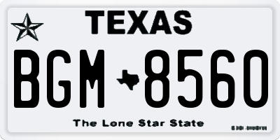 TX license plate BGM8560