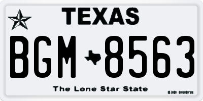 TX license plate BGM8563