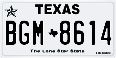 TX license plate BGM8614
