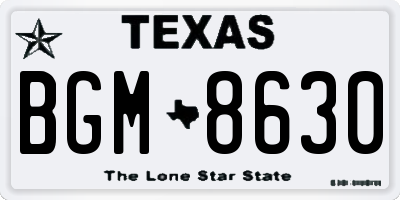 TX license plate BGM8630