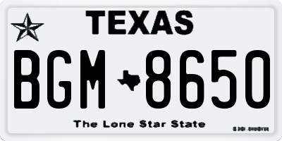 TX license plate BGM8650