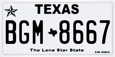 TX license plate BGM8667