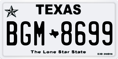 TX license plate BGM8699