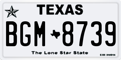 TX license plate BGM8739