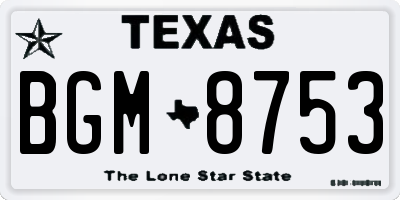 TX license plate BGM8753