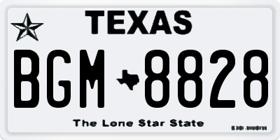 TX license plate BGM8828