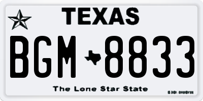 TX license plate BGM8833