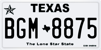 TX license plate BGM8875
