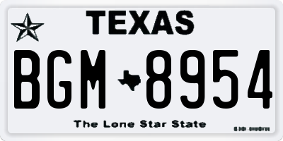 TX license plate BGM8954