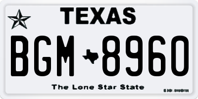 TX license plate BGM8960