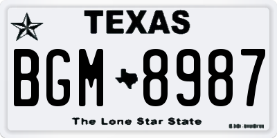 TX license plate BGM8987