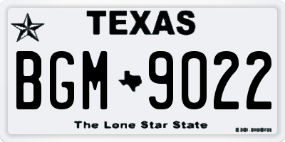 TX license plate BGM9022