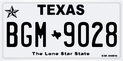 TX license plate BGM9028