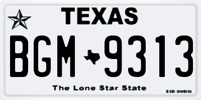 TX license plate BGM9313
