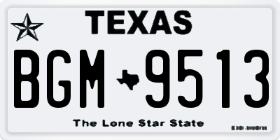 TX license plate BGM9513