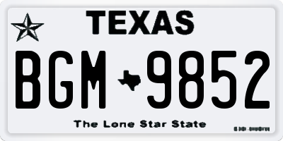TX license plate BGM9852
