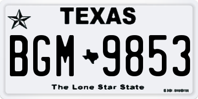 TX license plate BGM9853