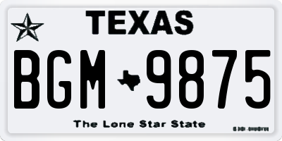 TX license plate BGM9875