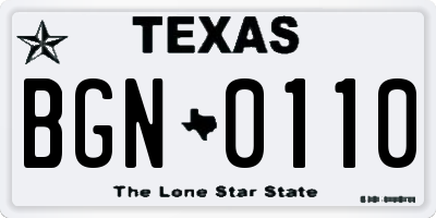 TX license plate BGN0110