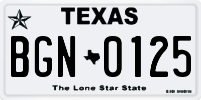 TX license plate BGN0125