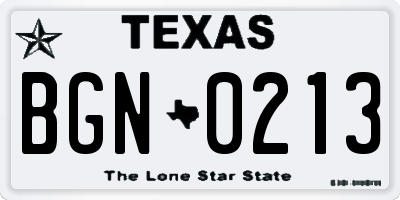 TX license plate BGN0213