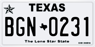 TX license plate BGN0231