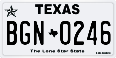 TX license plate BGN0246