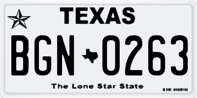 TX license plate BGN0263