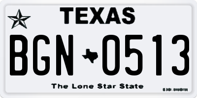 TX license plate BGN0513