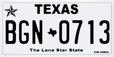 TX license plate BGN0713