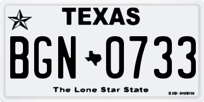 TX license plate BGN0733