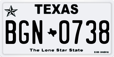 TX license plate BGN0738