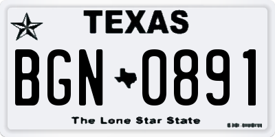 TX license plate BGN0891