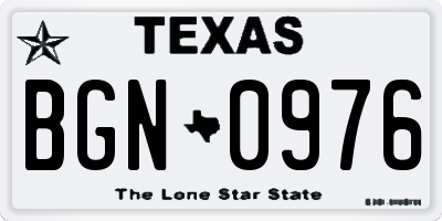 TX license plate BGN0976